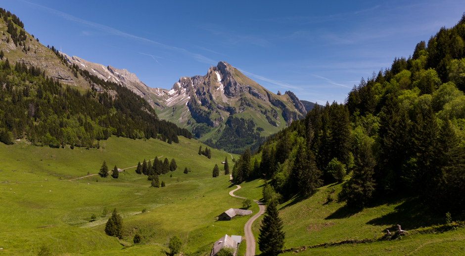 A stunning view of the alpine landscape in Wildhaus, Switzerland, featuring lush green meadows and majestic mountains.