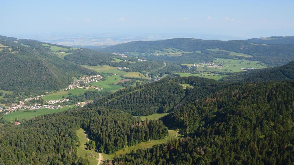 Scenic aerial panorama of a lush green valley with forests and distant mountains.